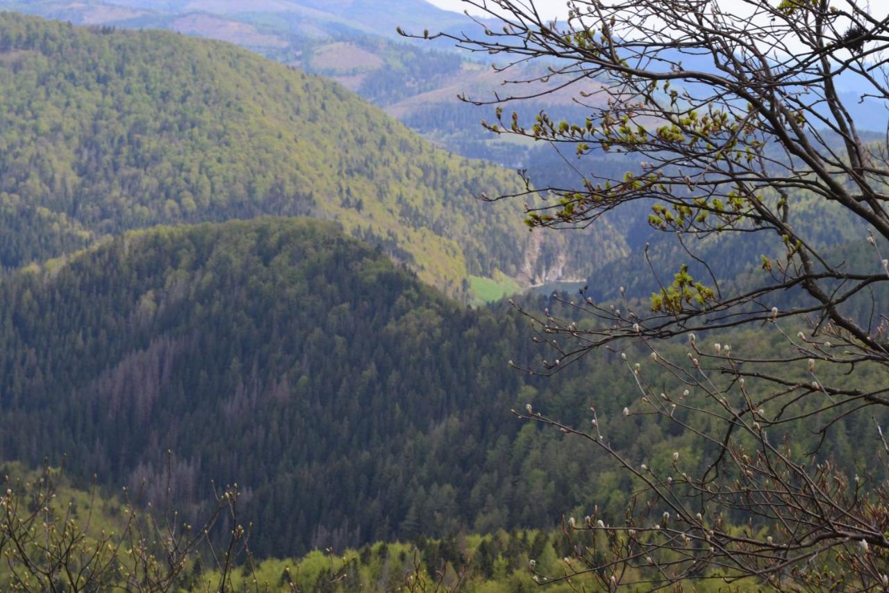 Penzión Thamasy Spišské Tomášovce Exterior foto