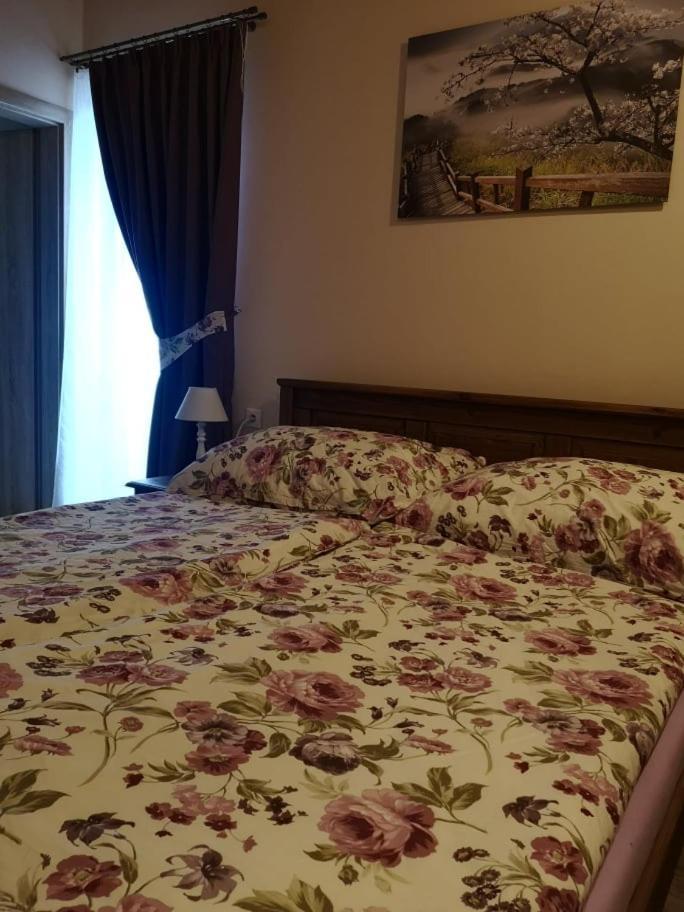 Penzión Thamasy Spišské Tomášovce Exterior foto
