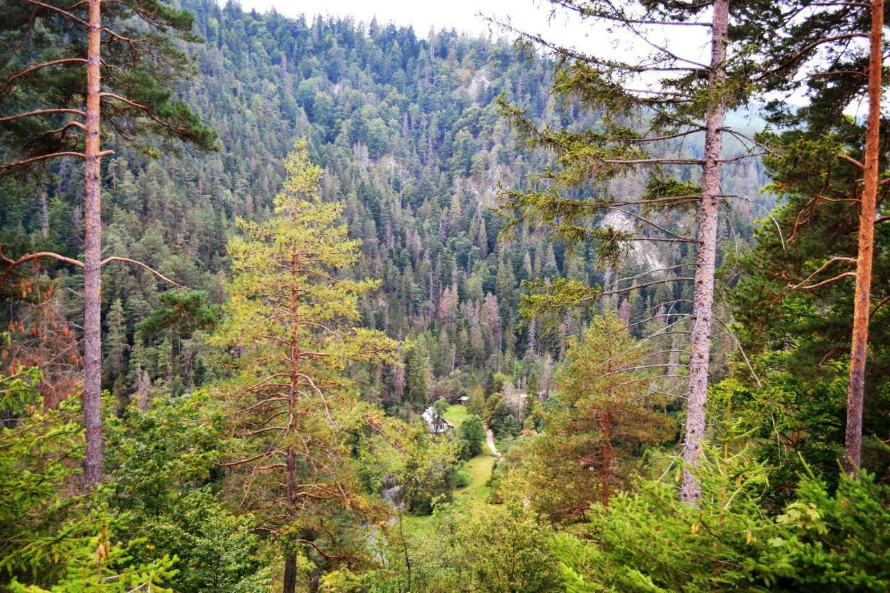 Penzión Thamasy Spišské Tomášovce Exterior foto